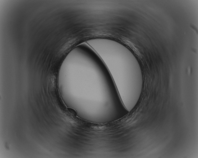 X0000094910071200711291009