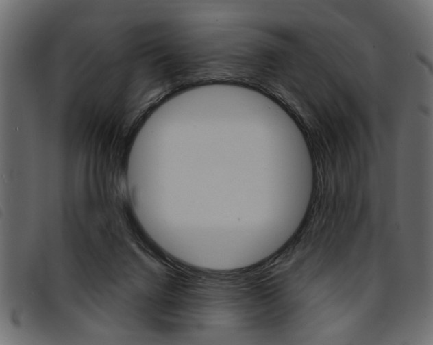 X0000094910072200711291009