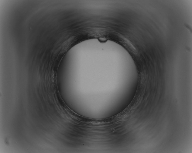X0000094910073200711291009