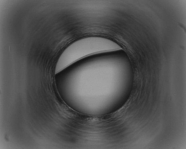 X0000094910074200711291009