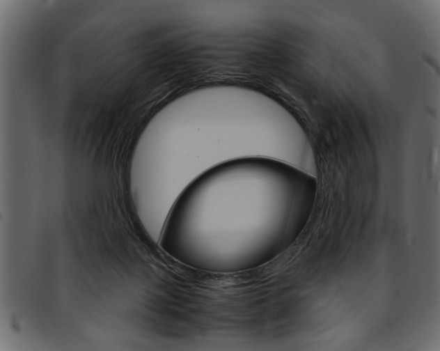 X0000094910075200711291009