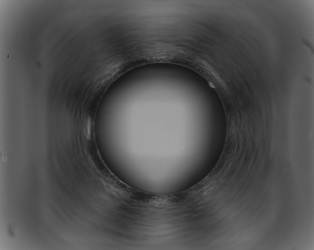 X0000094910076200711291009