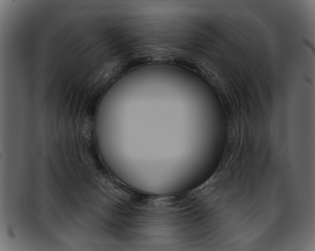 X0000094910078200711291009