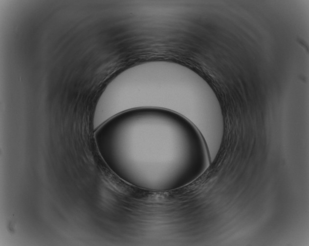 X0000094910080200711291009