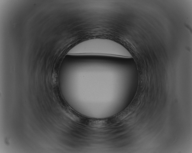 X0000094910081200711291009