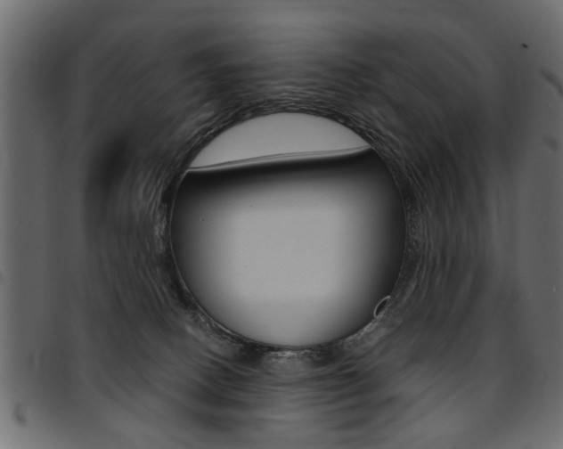 X0000094910082200711291009
