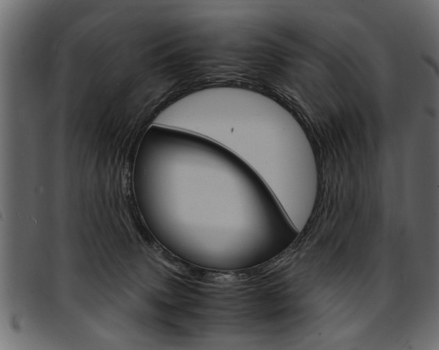 X0000094910083200711291009