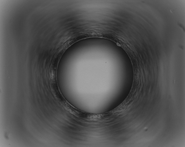 X0000094910084200711291009