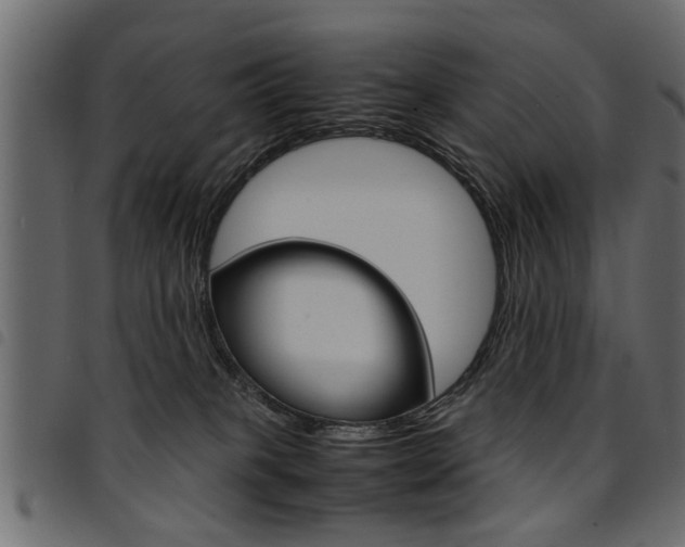 X0000094910085200711291009