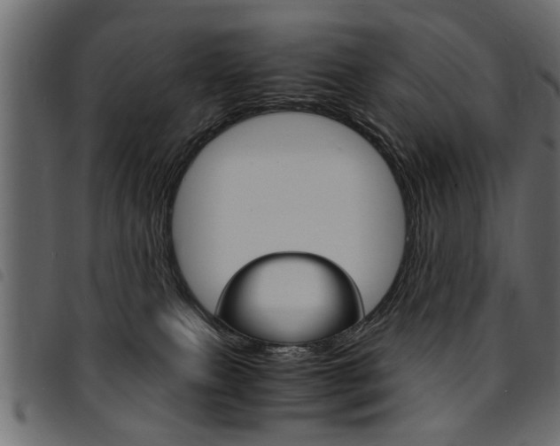 X0000094910087200711291009