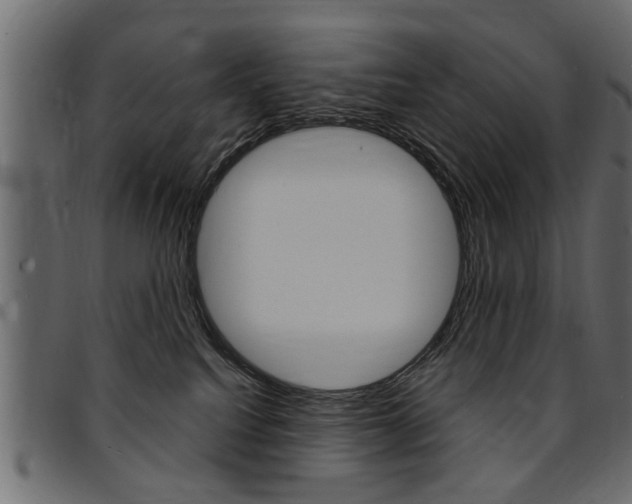 X0000094910088200711291009