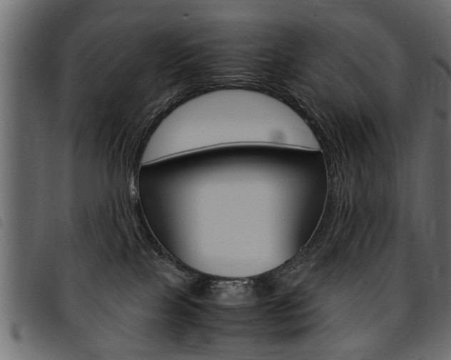 X0000094910089200711291009