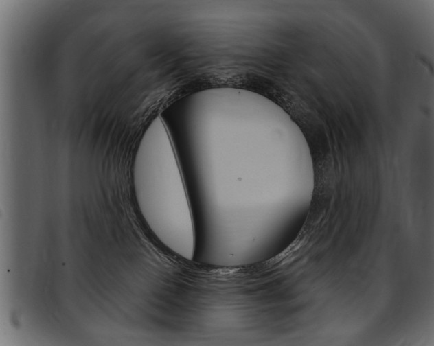 X0000094910090200711291009