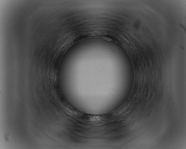 X0000094910091200711291009