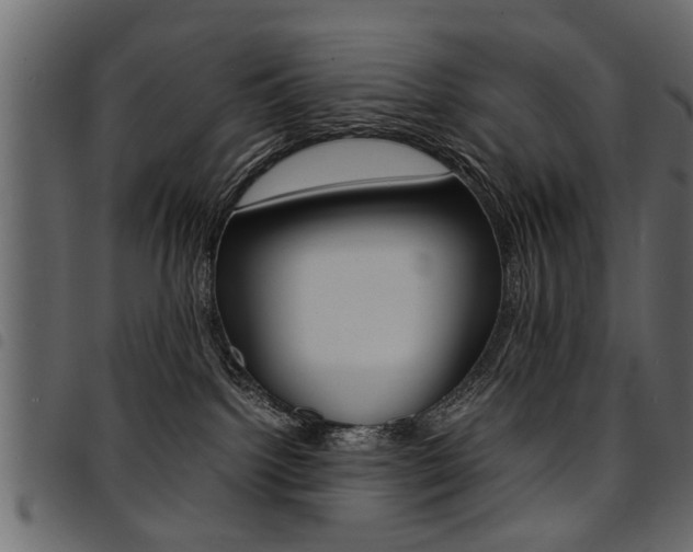 X0000094910092200711291010