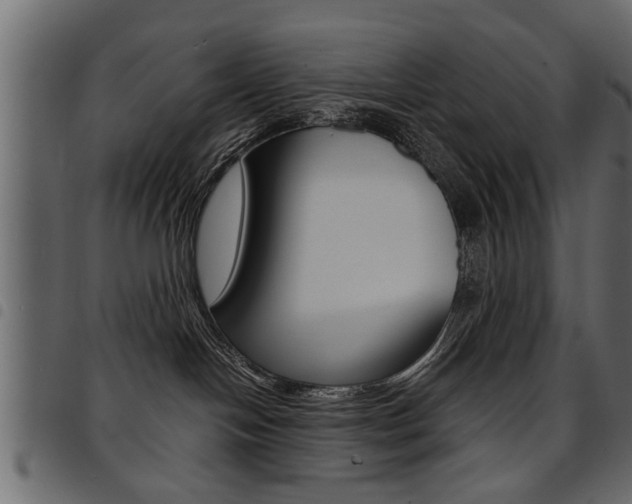 X0000094910094200711291010