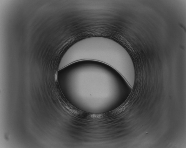 X0000094910095200711291010