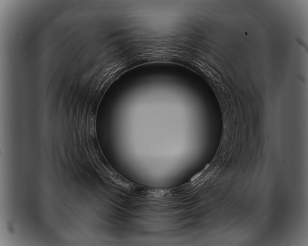 X0000094910096200711291010