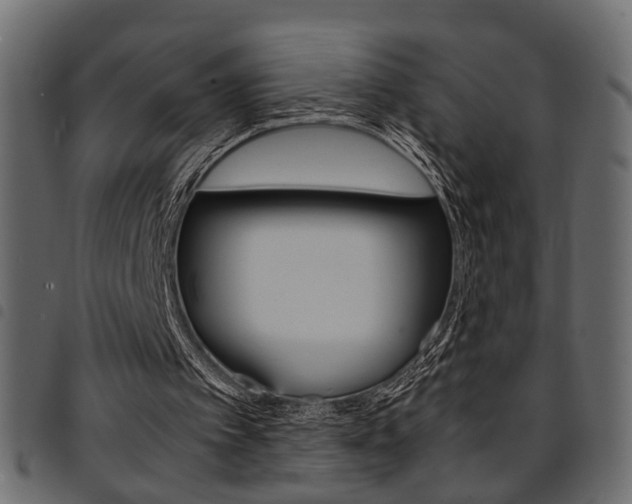 X0000094910097200711291009