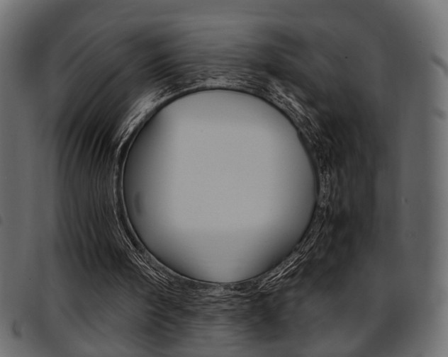 X0000094910098200711291009