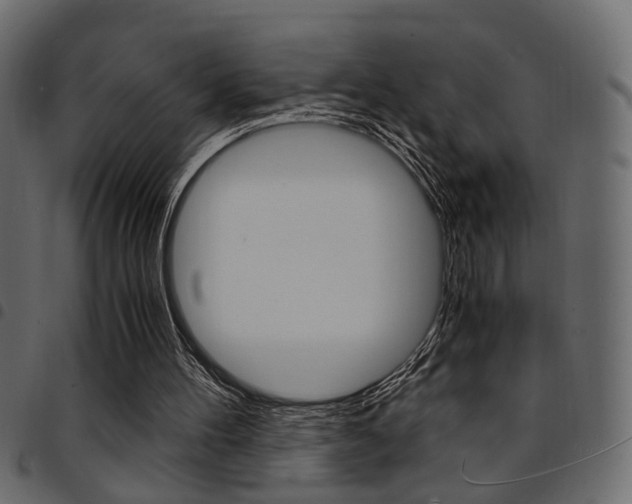 X0000094910100200711291009