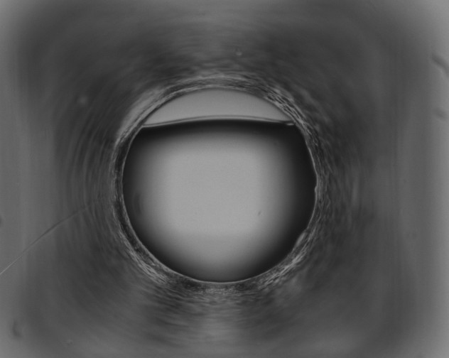 X0000094910101200711291009