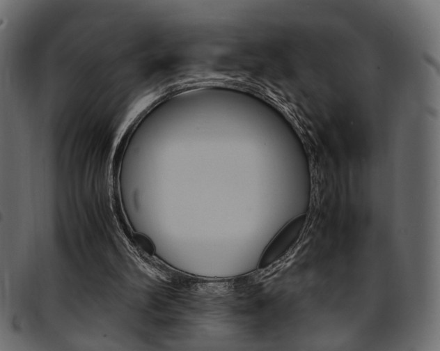 X0000094910102200711291009