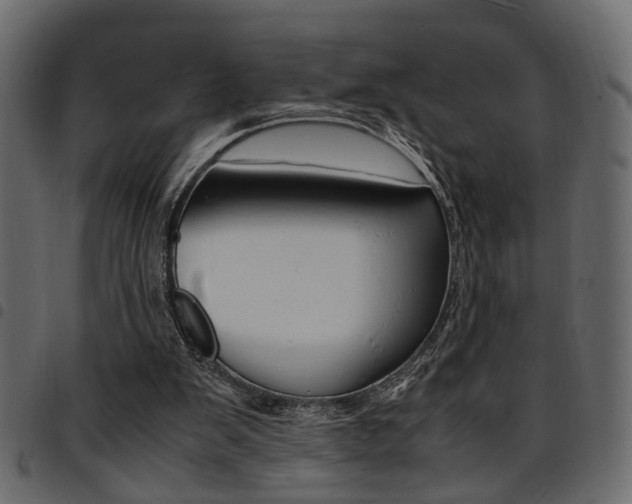 X0000094910103200711291009