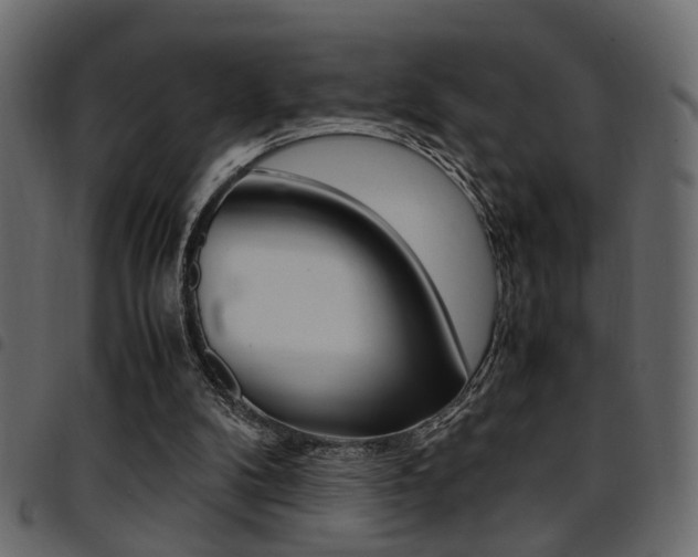X0000094910104200711291009