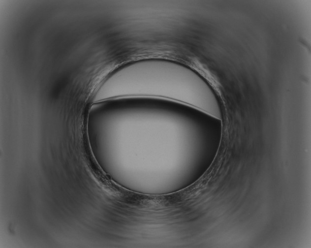 X0000094910107200711291009