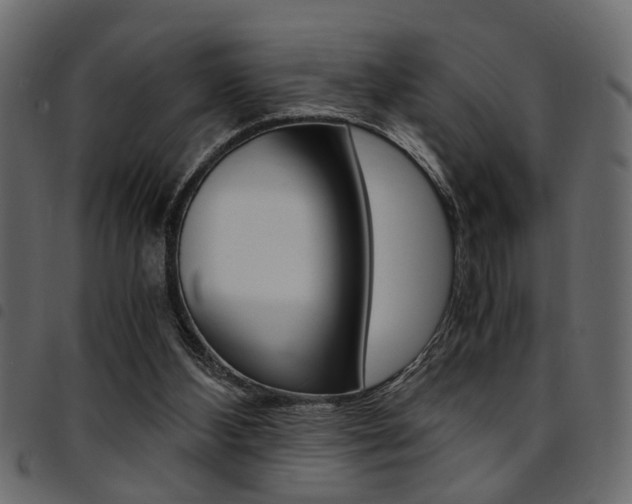 X0000094910108200711291009