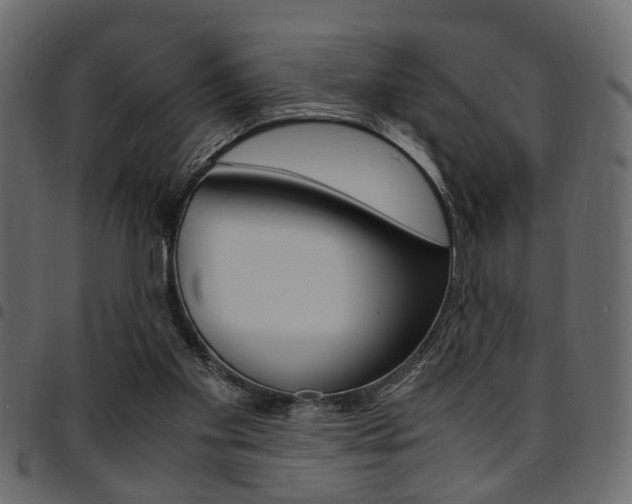 X0000094910109200711291009