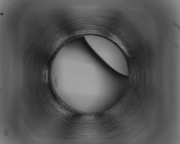 X0000094910110200711291009