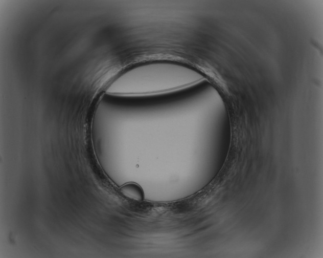 X0000094910111200711291009