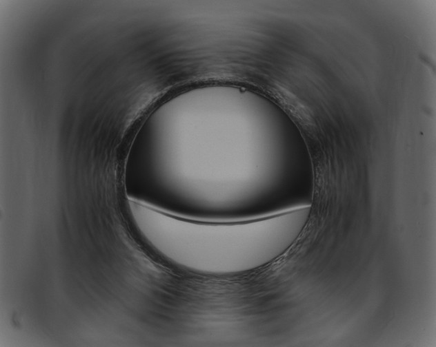 X0000094910112200711291009
