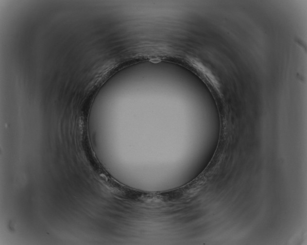 X0000094910113200711291009