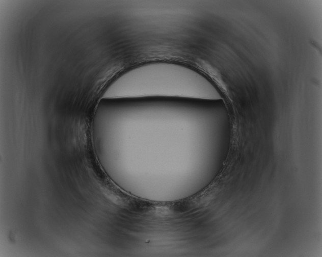 X0000094910114200711291009