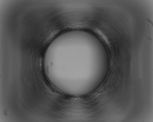 X0000094910115200711291008