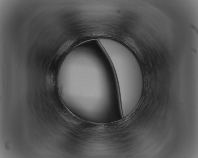 X0000094910116200711291008
