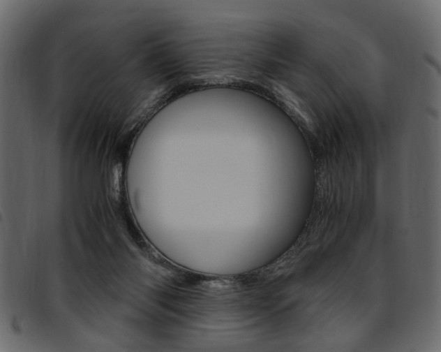 X0000094910118200711291008