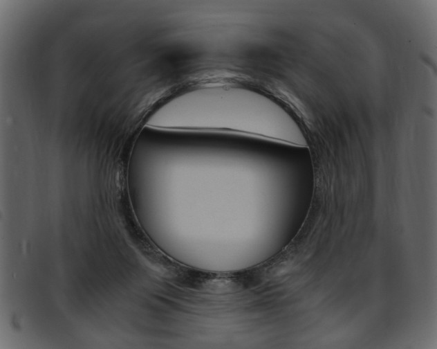 X0000094910119200711291008