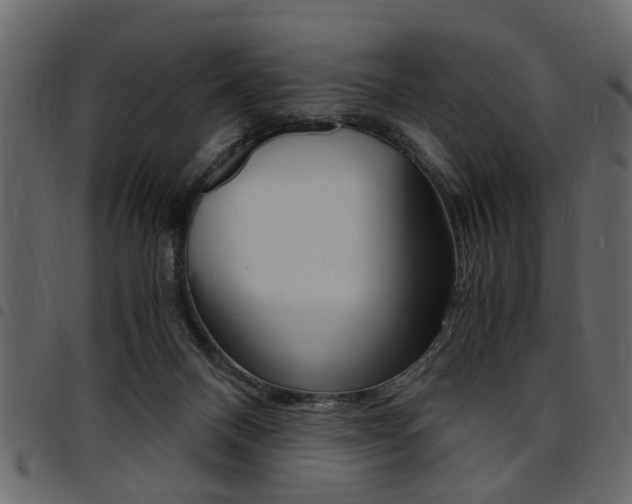X0000094910120200711291008