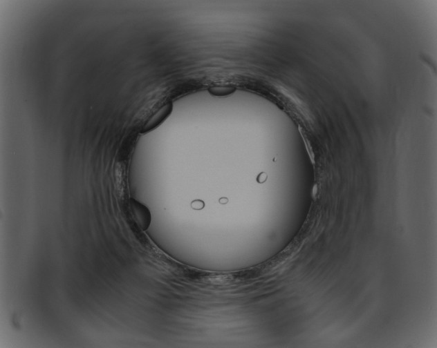 X0000094910121200711291008