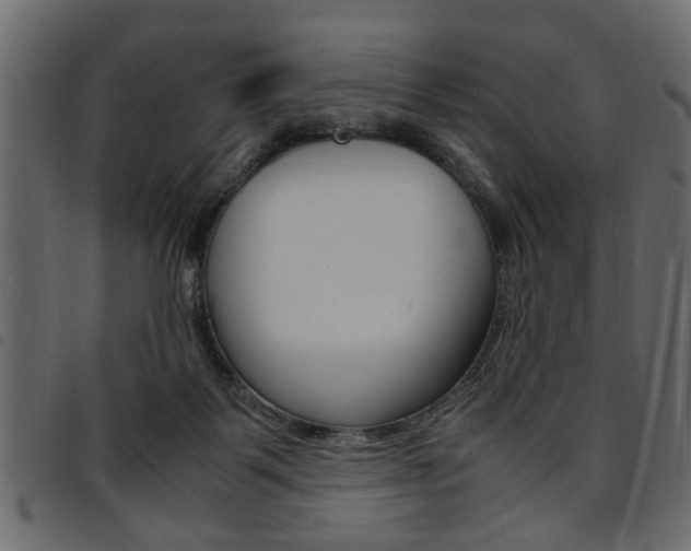 X0000094910123200711291008