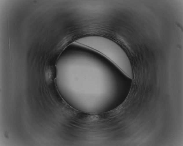X0000094910124200711291008