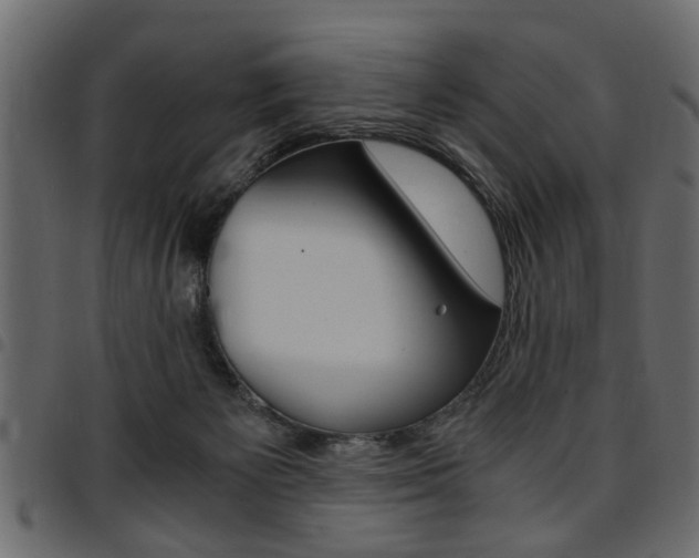 X0000094910125200711291008