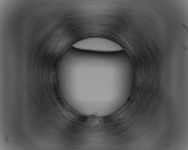 X0000094910126200711291008