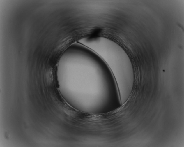 X0000094910128200711291008