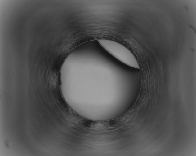 X0000094910129200711291008