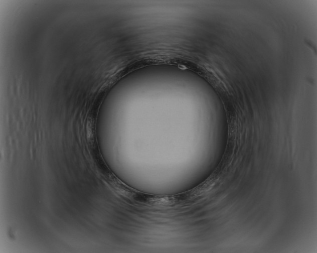 X0000094910131200711291008